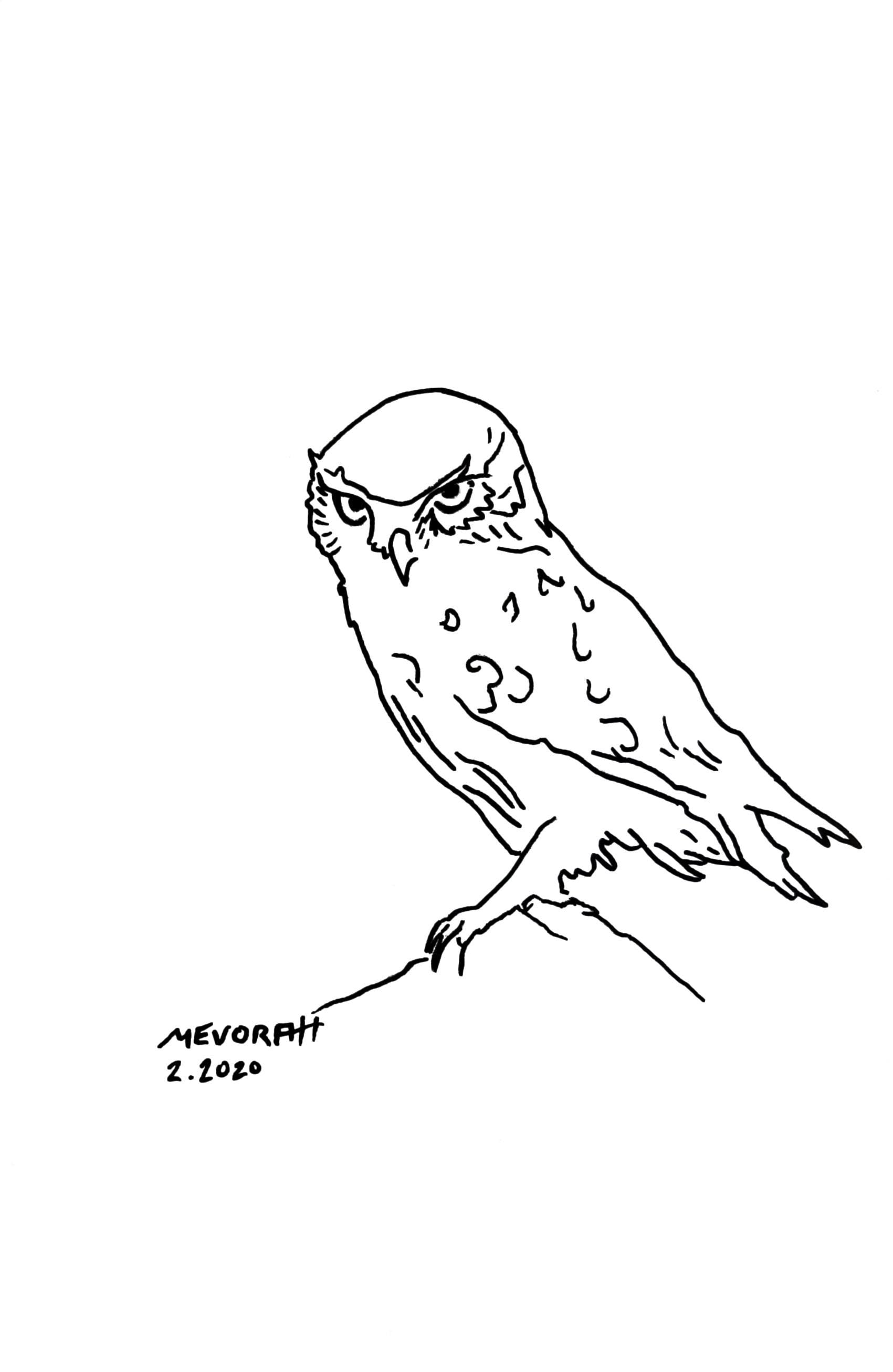 Minimalist Owl Line Art Print – Modern Black and White Wall Decor