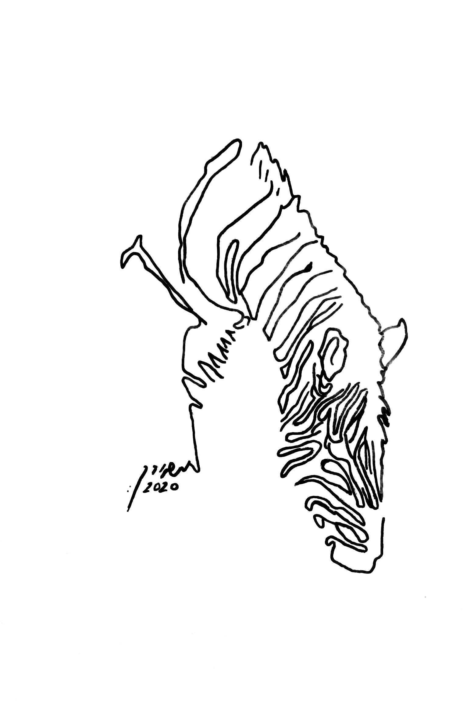 Zebra One Line Drawing – Minimalist Animal Wall Print